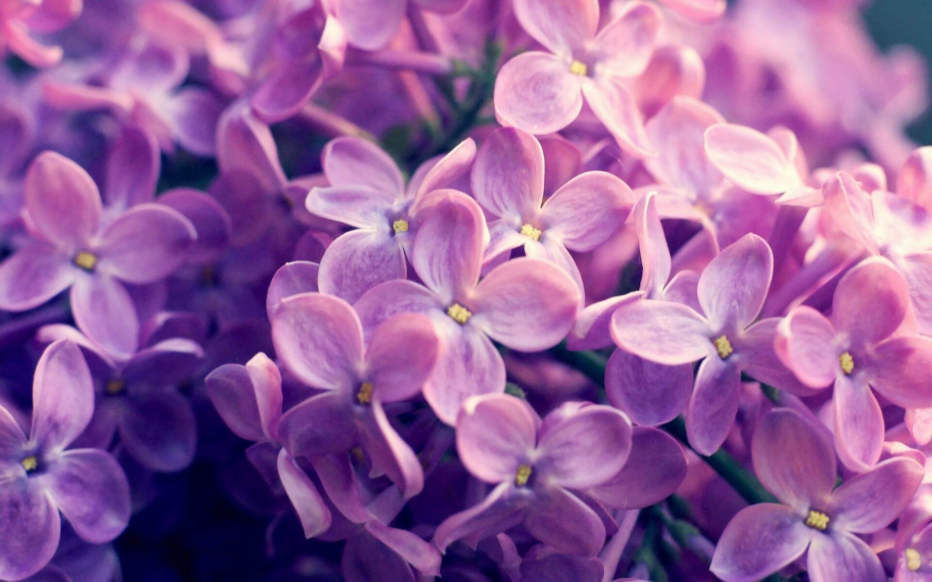 跨界合作推出足球题材的数字藏品,引领体育文化潮流,足球收藏品