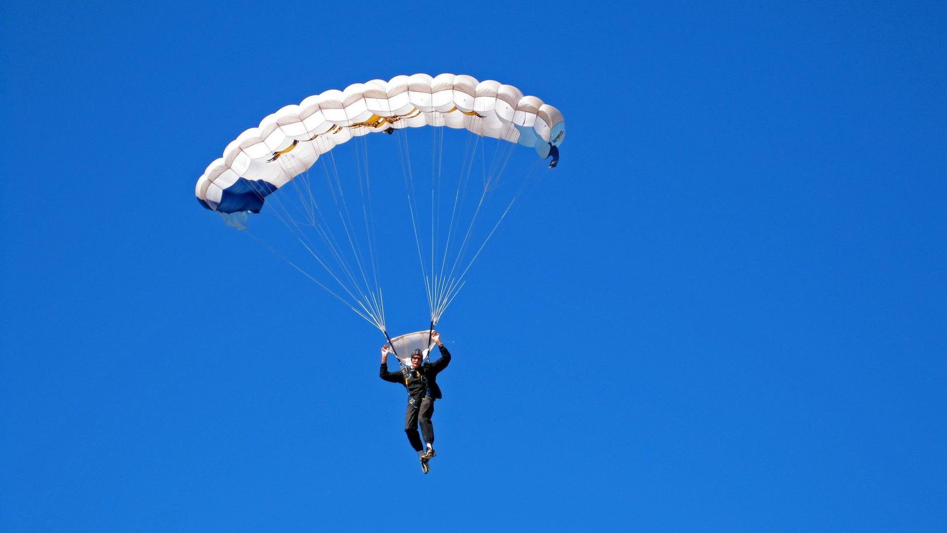 瑞士马术协会建立马匹基因数据库，促进马匹选育与训练。，瑞典 马