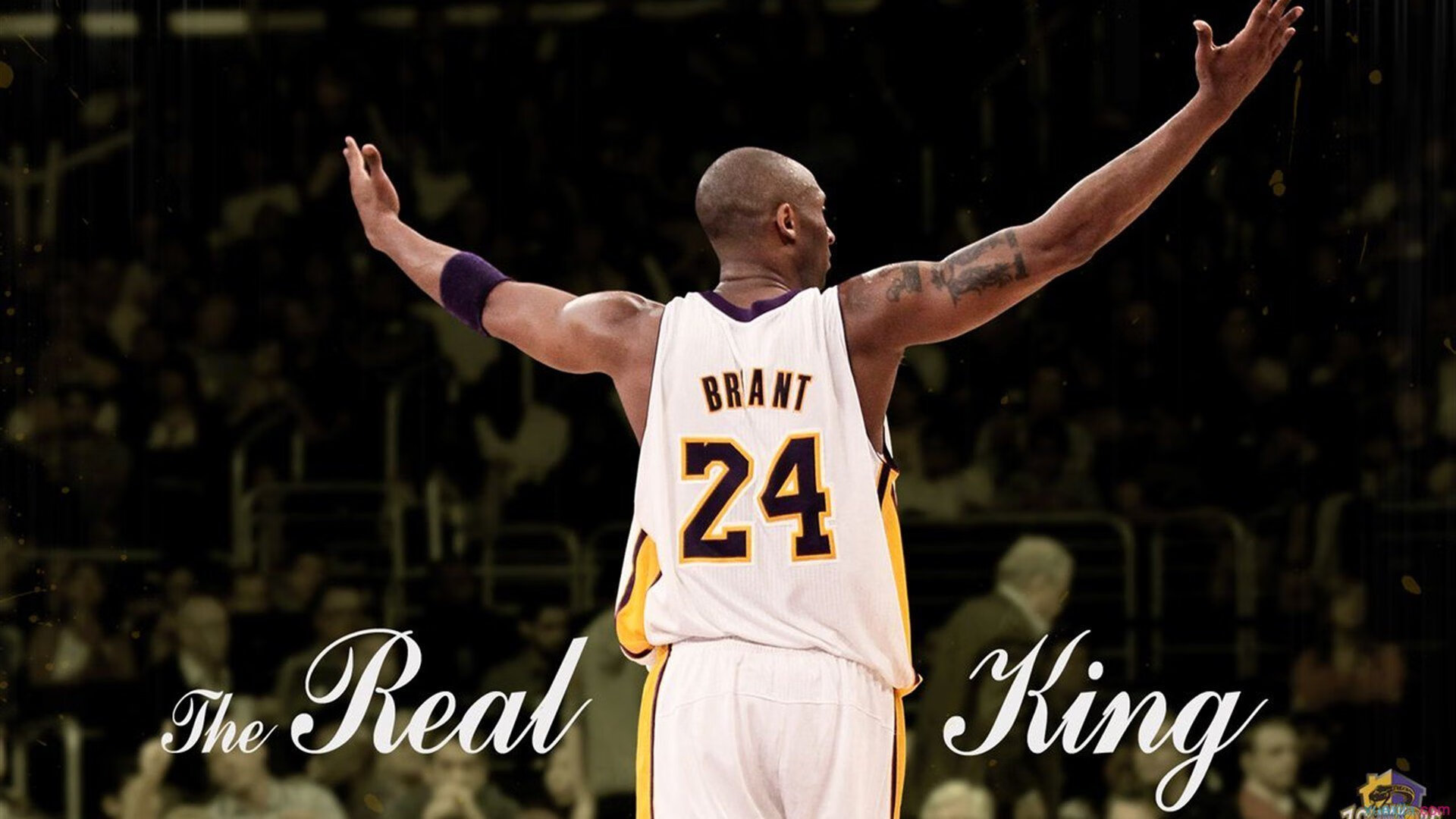 电竞选手的伤病预防：运动康复与健康管理，电竞职业选手伤病笑死我了